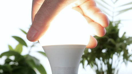 4 Things to Consider Before Buying Daylight LED Light Bulbs - LiquidLEDs™