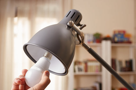 Daylight vs. Soft White Bulbs – Which One Should You Buy? - LiquidLEDs™