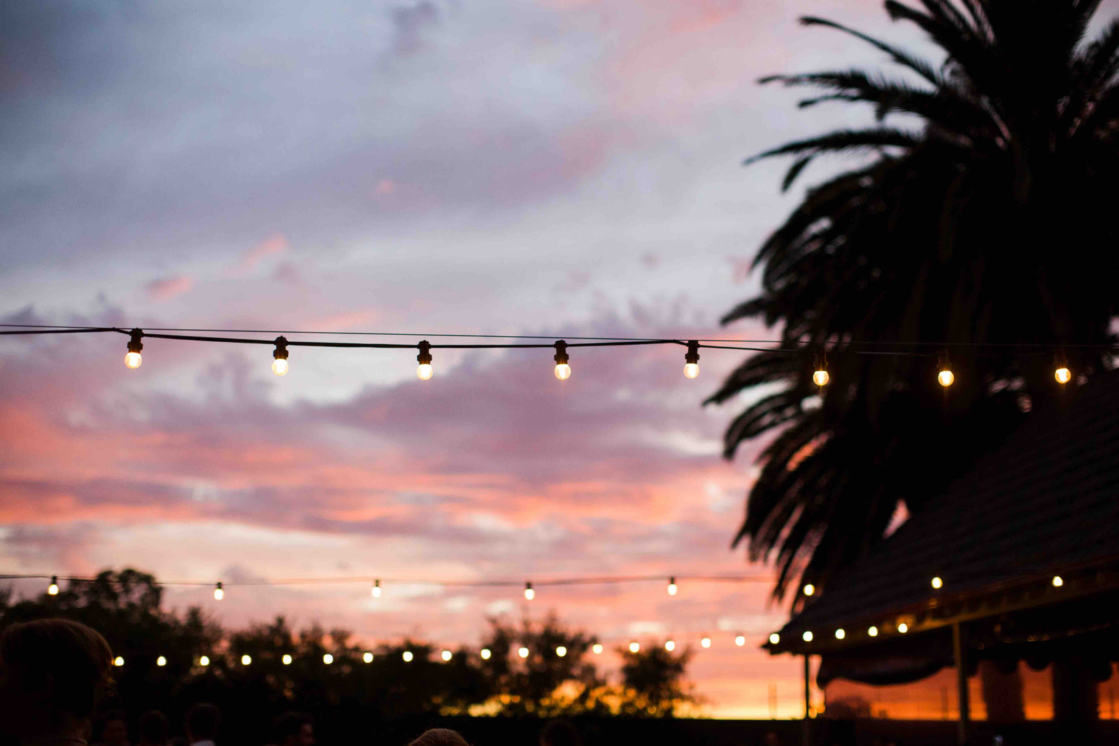 IP Ratings Explained (IP44 vs IP65 Festoon Lights) - LiquidLEDs™