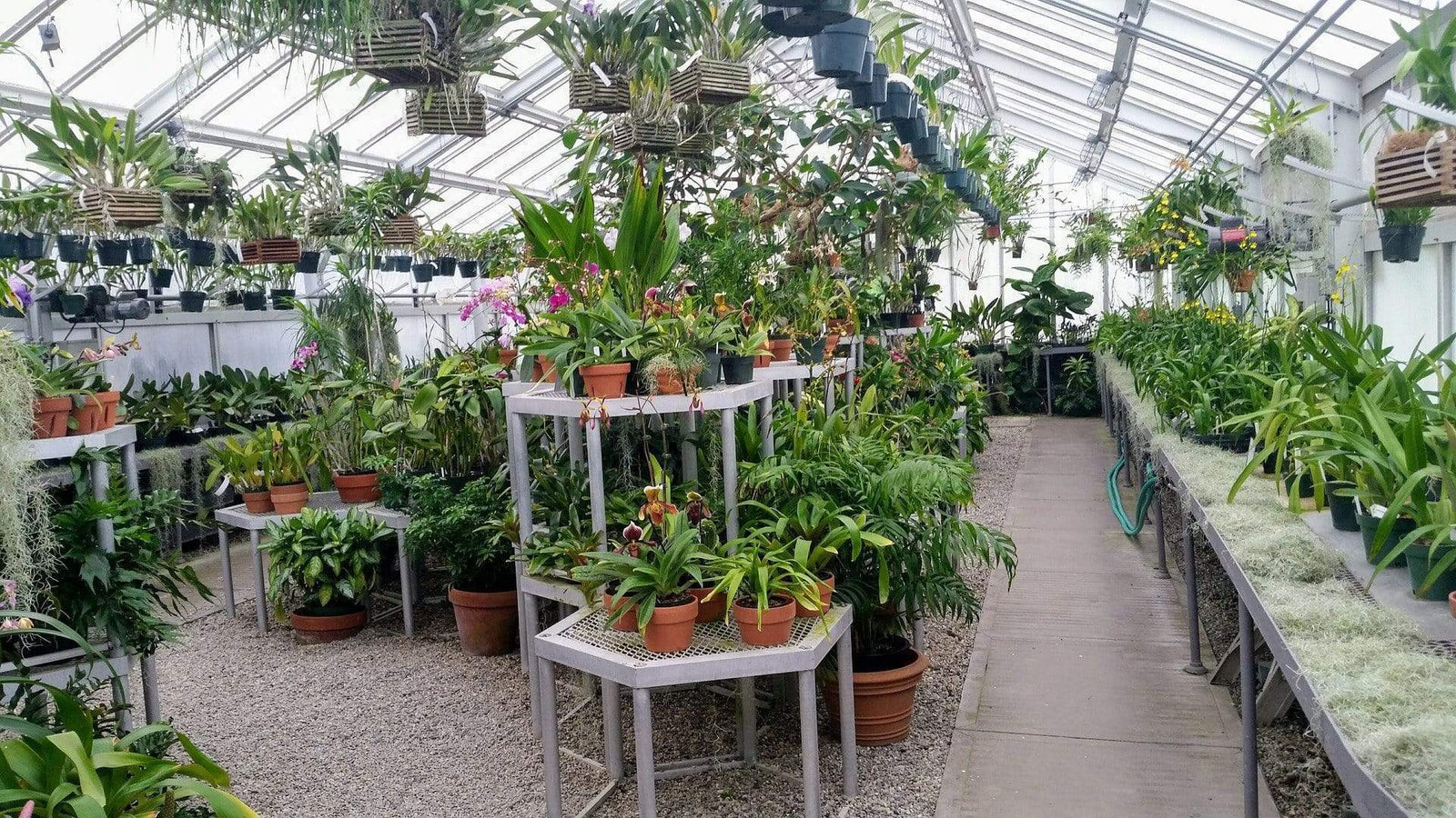 Things you Need for your Indoor Garden - LiquidLEDs™