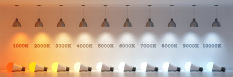 Warm White or Cool White — which one should you choose? - LiquidLEDs™