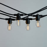 10M LED Festoon Kit at 50 cm Intervals Low Voltage - LiquidLEDs™ - Festoon String
