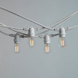 20m White Outdoor Festoon String Lights - LiquidLEDs™ - Festoon String